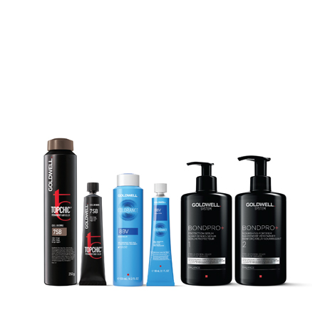 GOLDWELL COLOR OFFER NOV/DEC 2024