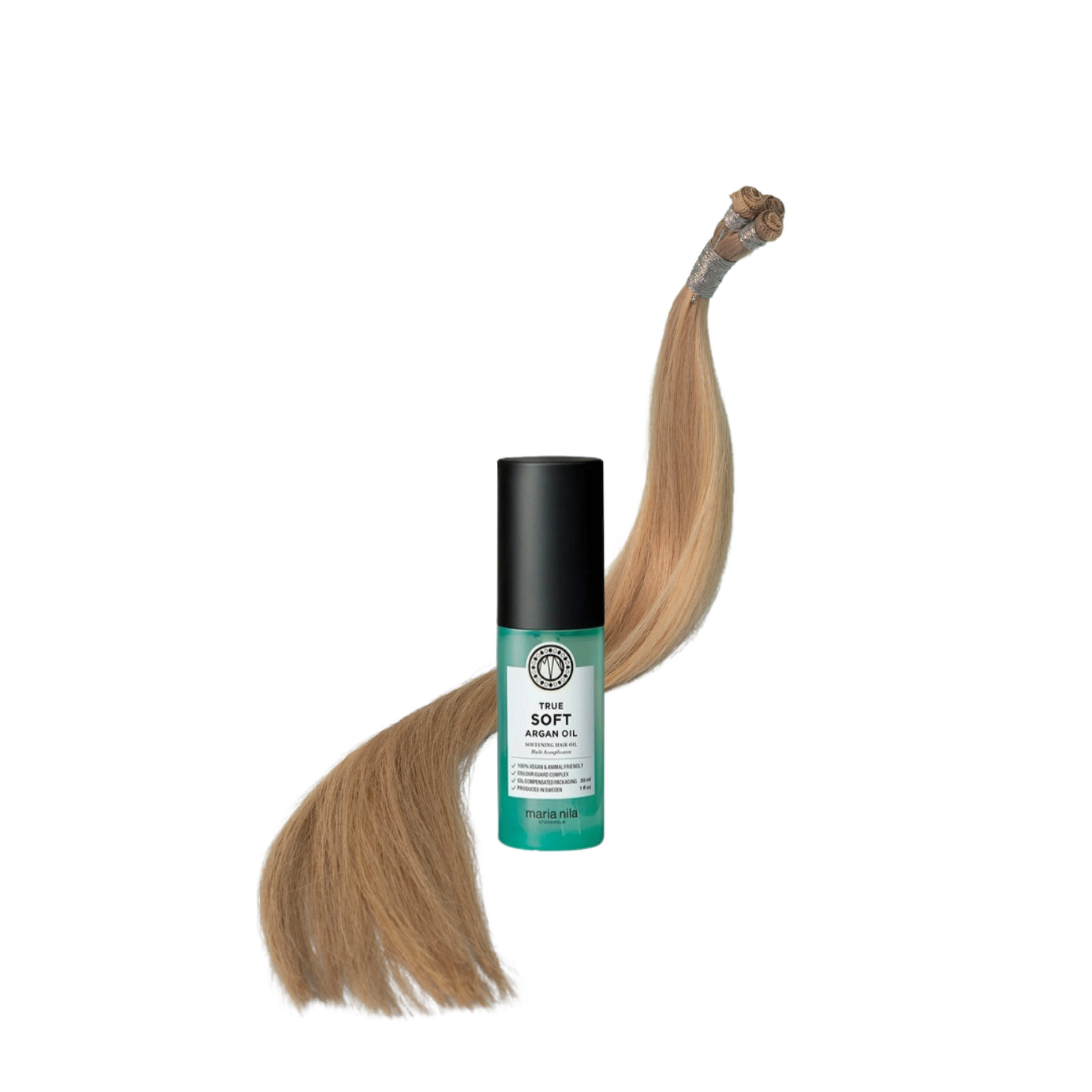 PONY OFFER JAN/FEB 2026