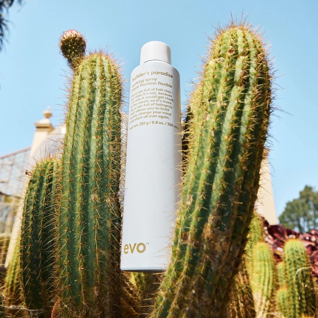 EVO AEROSOL MIX & MATCH FLASH SALE